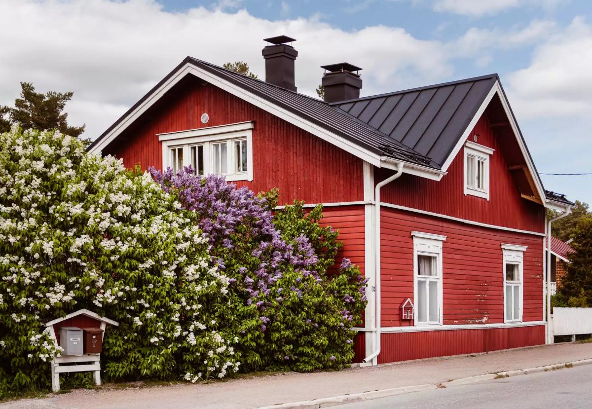 How Simple People Live in Finland: A Teacher Shows Her Home