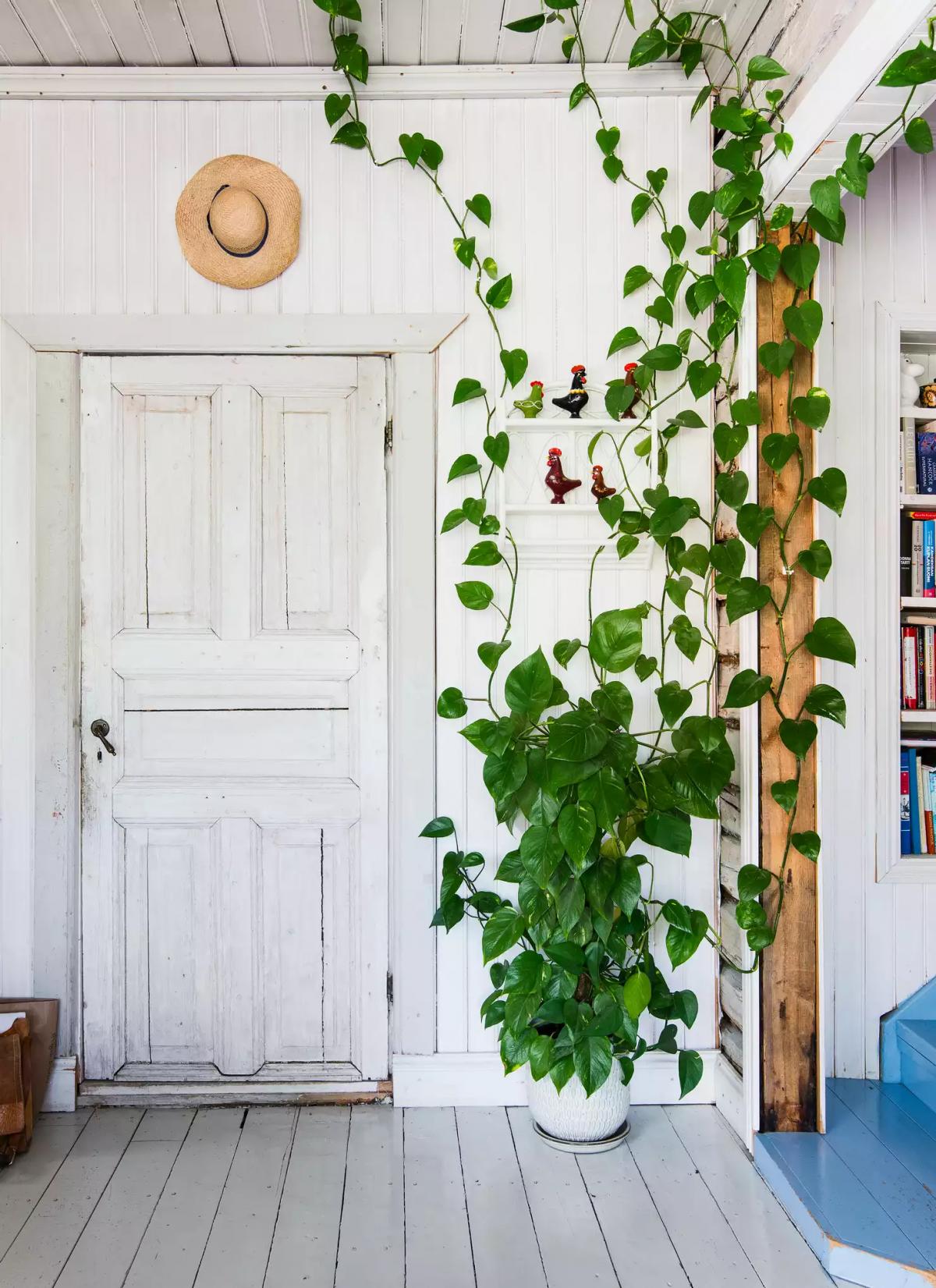 How Simple People Live in Finland: A Teacher Shows Her Home
