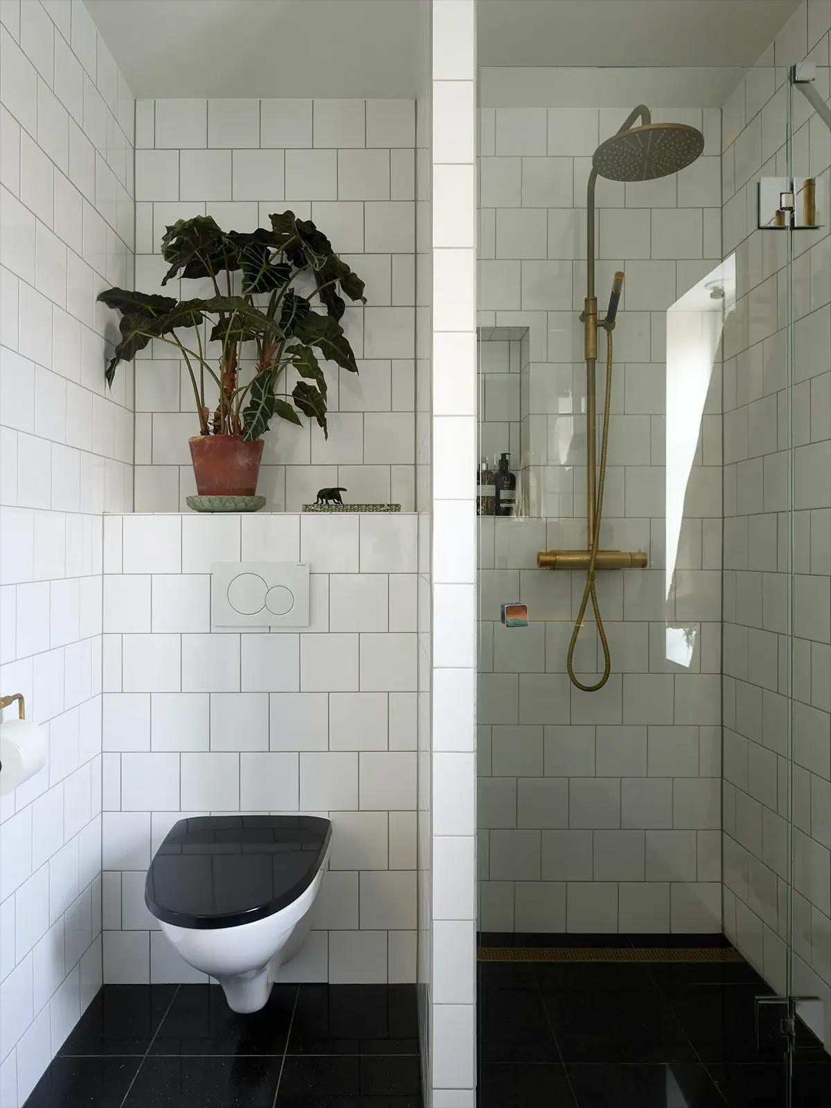 Toilet and brass shower fixture