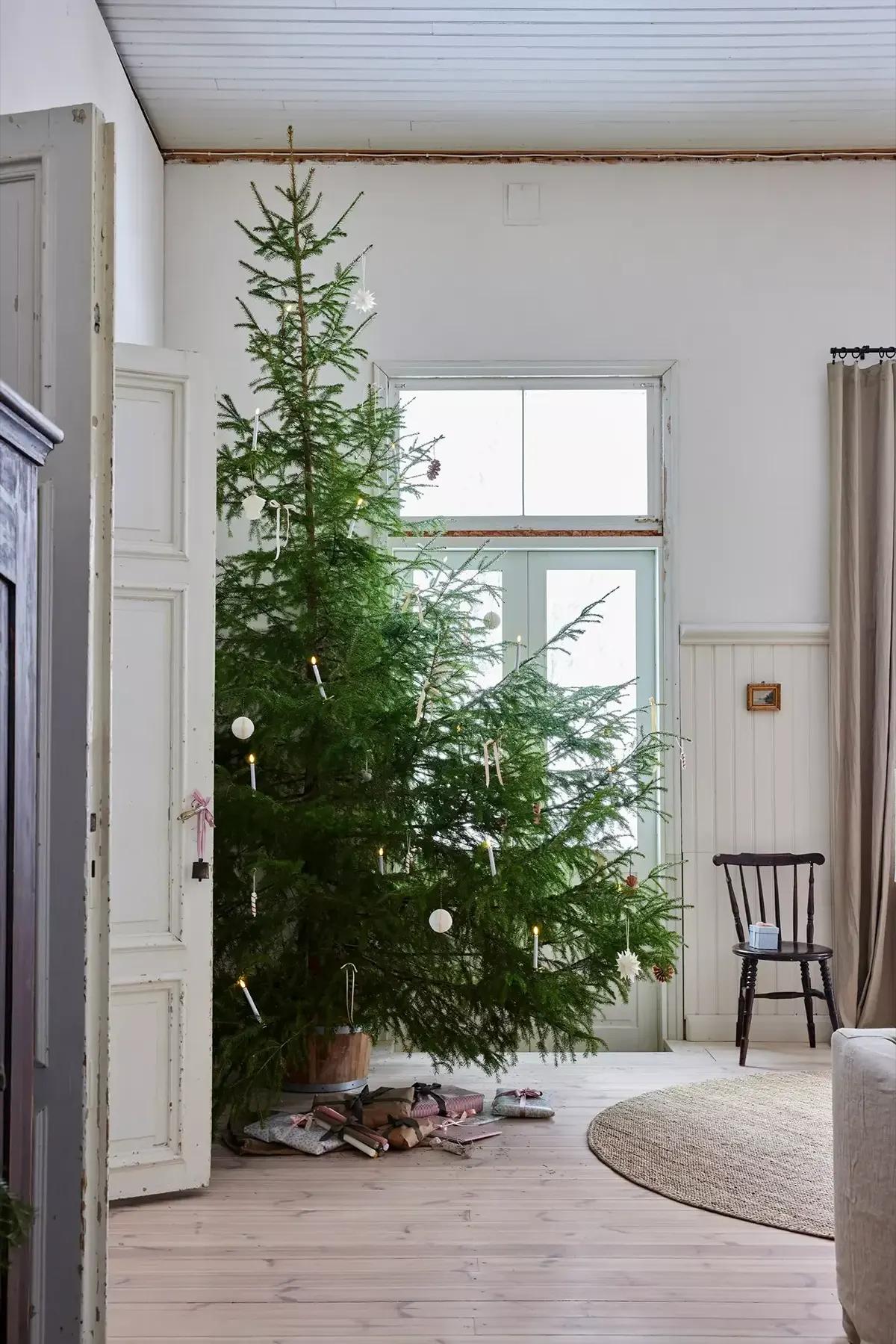 Tall, fluffy Christmas tree in the living room