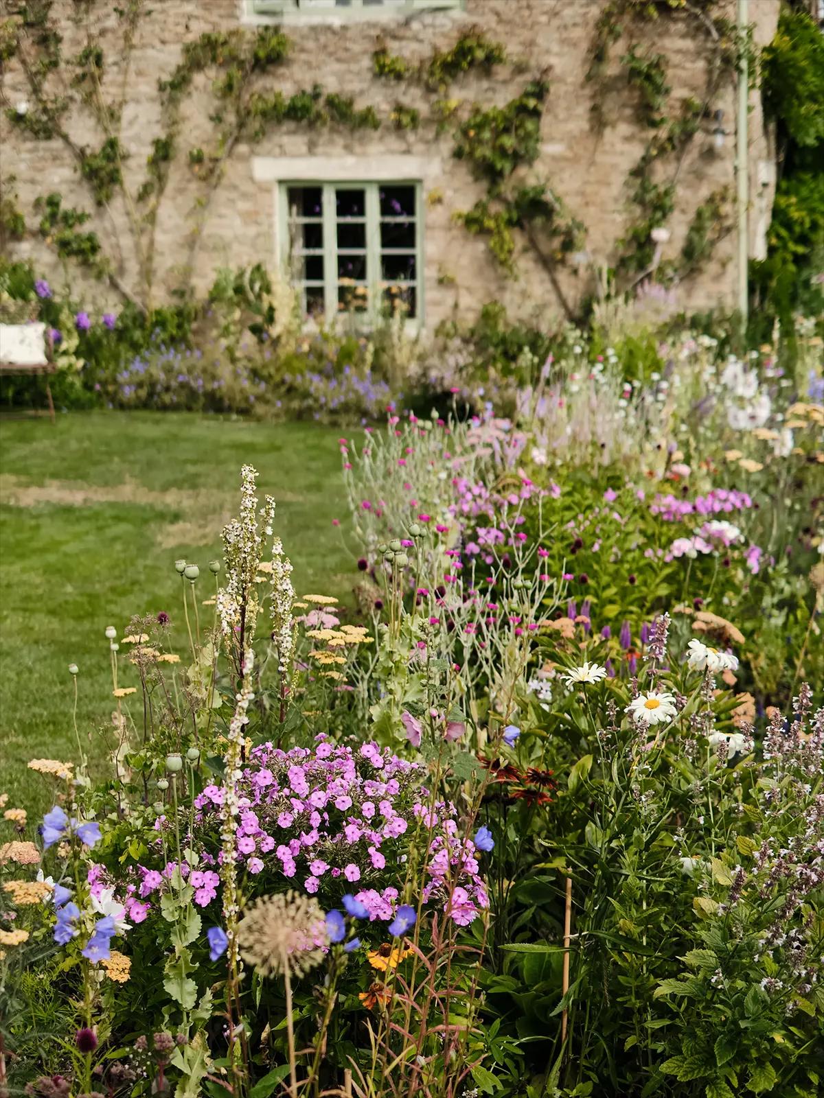 Flowering garden at a stone house with climbing plants on the facade